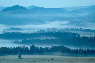 hilly landscape with fog
