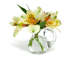 alstroemeria flowers