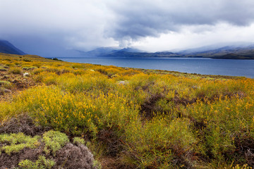 National park Lanin, Patagonia, Argentina