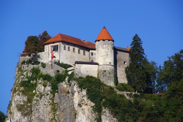 Fototapeta na wymiar Burg in Bled