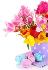 Easter composition with fresh tulips and easter eggs isolated