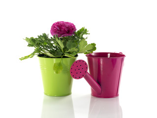 green bucket with spring flowers