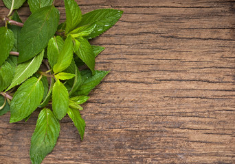 Fresh mint on the wooden texture