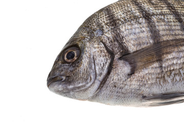 Raw Tilapia