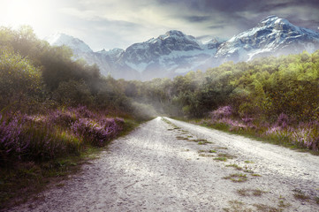 Pictorial Landscape
