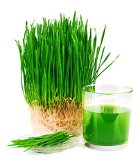 Wheatgrass juice with sprouted wheat on the plate