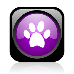 animal footprint black and violet square web glossy icon