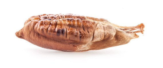 Stone of date isolated on white background