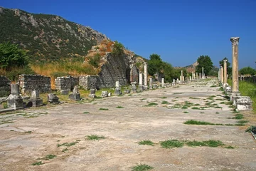 Rolgordijnen Ephesus © Vladislav Gajic