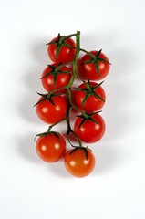 Cherry tomatoes on the vine © Arena Photo UK