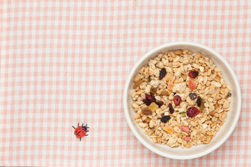 fruits granola