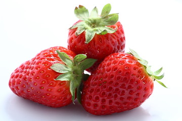 Fragole
