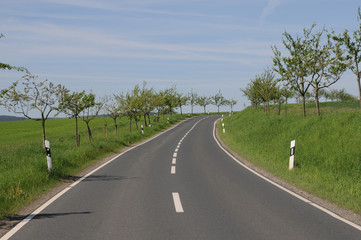Fototapeta premium Landstrasse im Taunus,Hessen.