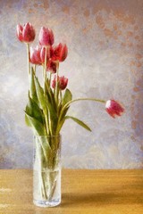 Glass vase with bunch of pink tulips
