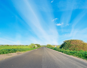 Fototapeta premium asphalt in the countryside