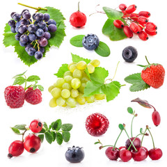 Collection of berry isolated on white background