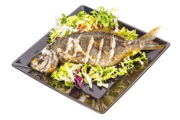 Salema porgy - sarpa fish