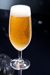 Bier on Disco Bar