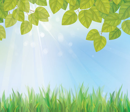 Vector of spring background with grass and leaves.