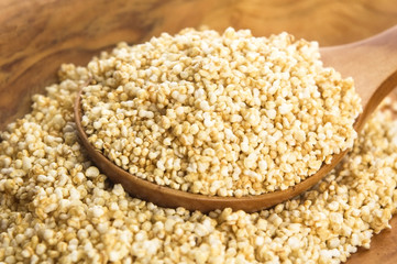 Amaranth popping, gluten-free, high protein grain cereal