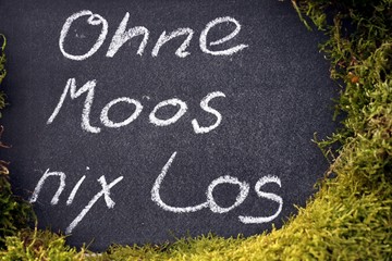 Spruch 