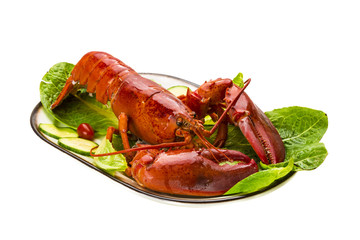 Large Lobster