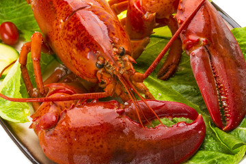 Large Lobster
