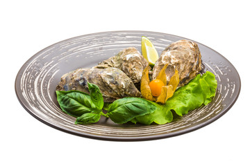 Fresh oyster