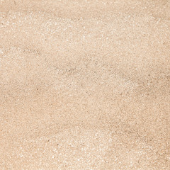 Fototapeta na wymiar Gold Sand w Kenii