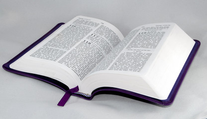 open Bible isolated on a white background.