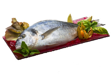 Fresh raw dorada
