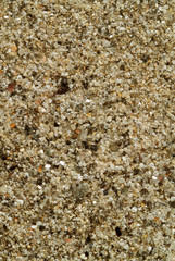 Macro photo of sand at the beach