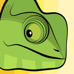 Chameleon illustration