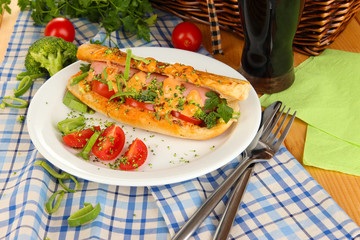 Delicious hot dog on plate at picnic close-up