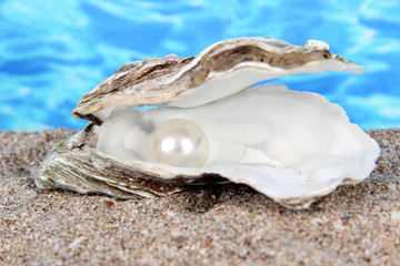 Fototapeta na wymiar Otwarte ostrygi z perłą na piasku na tle wody