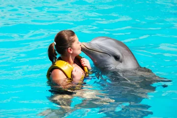Photo sur Plexiglas Dauphins J& 39 adore les dauphins !