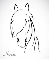 Vector image of an horse on white background
