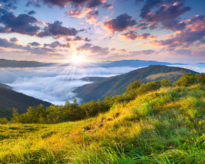 Beautiful summer landscape in the mountains. Sunrise