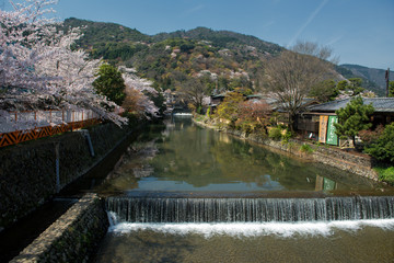 Arashiyama and Hozu river during cherry blossom in early April.