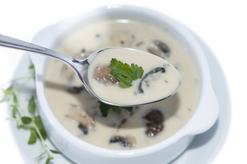 Fresh Mushroom Soup (on white)