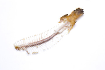 fishbone sole