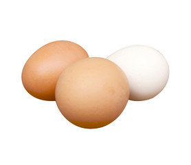 Egg of the hen