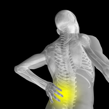 Conceptual 3D human pain anatomy