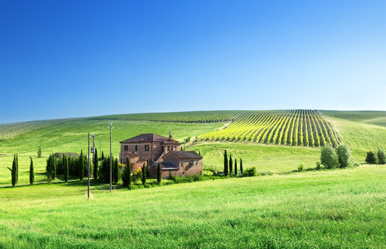 Tuscany landscape with typical farm house
