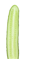 Cucumber