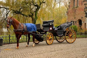 Fototapeta na wymiar Niepokalane koń i wóz Brugge Belgia