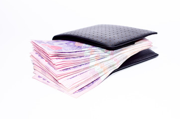 money in a purse