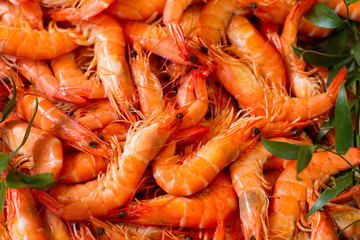 closeup on fresh prawns