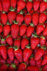 close up of strawberry on market