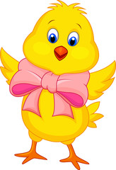 Cute baby chicken cartoon